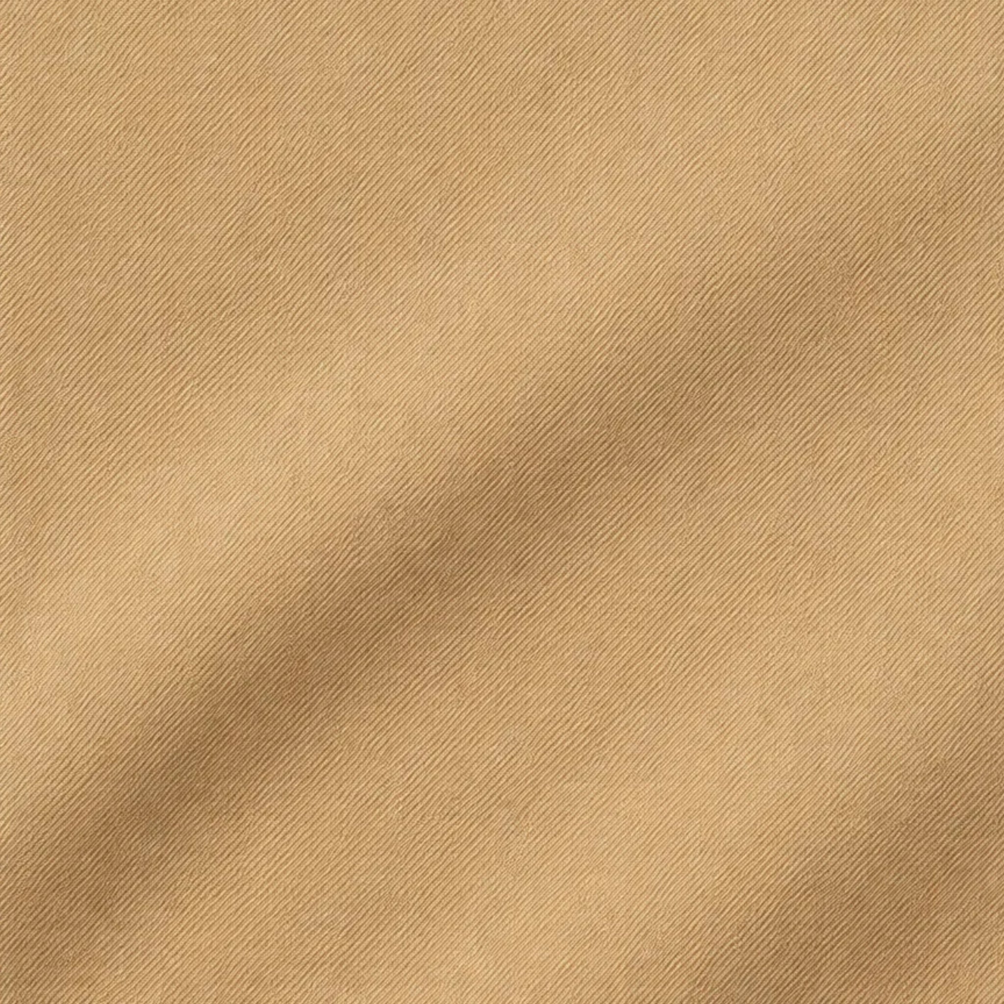 Tailory khaki chino fabric detail