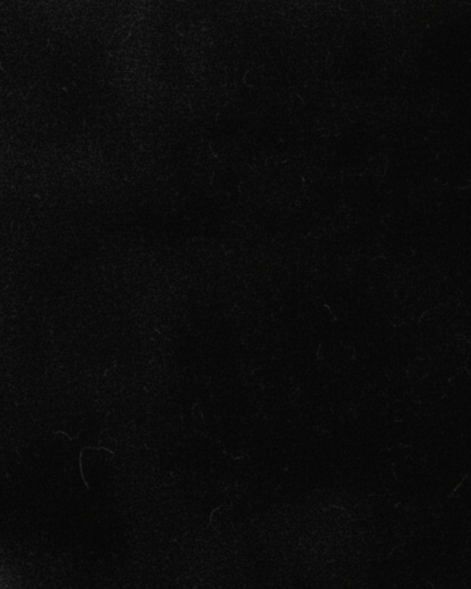 Tailory black cotton velvet swatch with subtle sheen