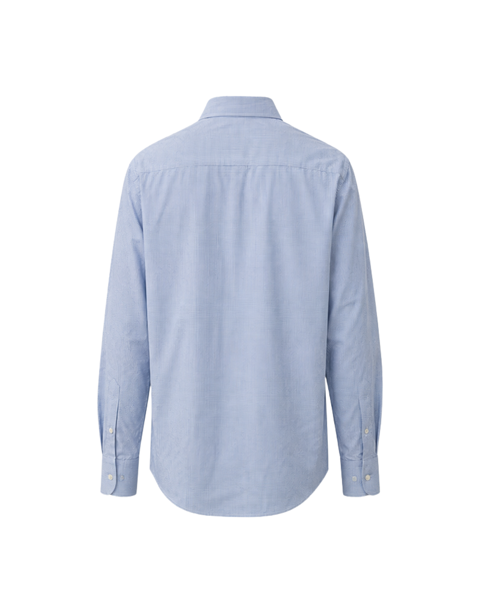 Back view of light blue micro-check shirt showing the straight back yoke and curved hem