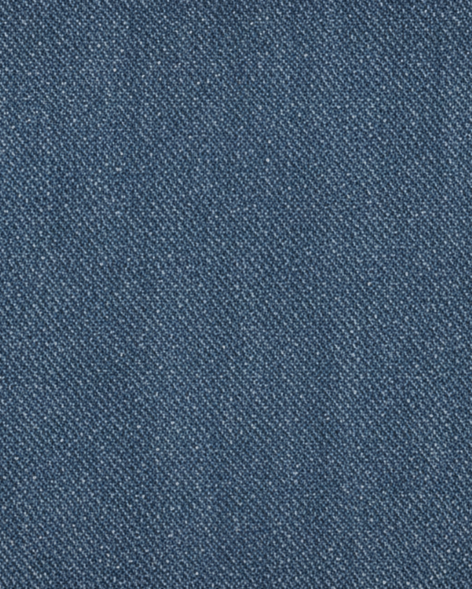 The Tailory New York men's blue denim casual cotton shirt back view