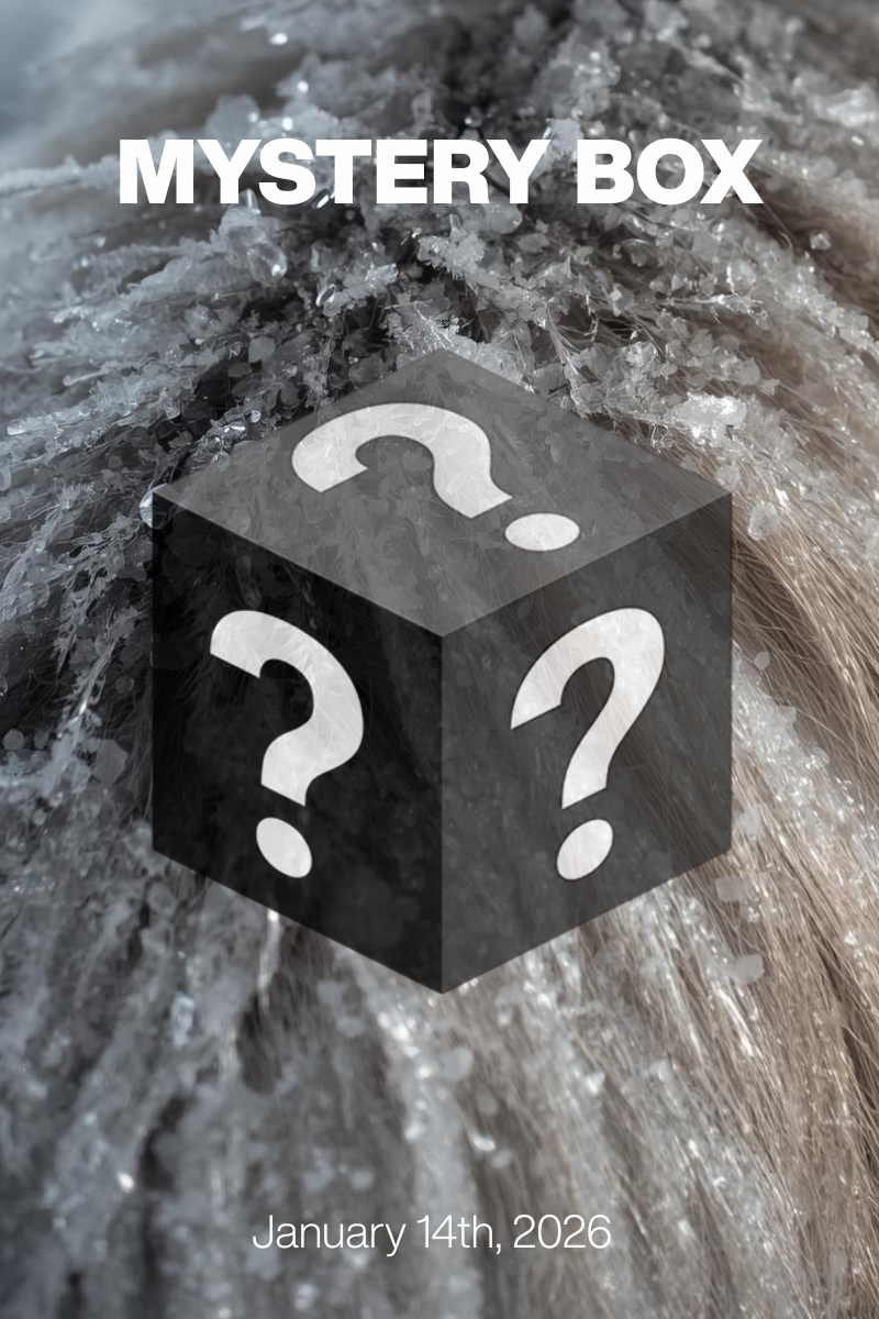 MYSTERY BOX Jan 14th, 2026: Charcoal Elegance at $79/$99 + Designer Shoes $30