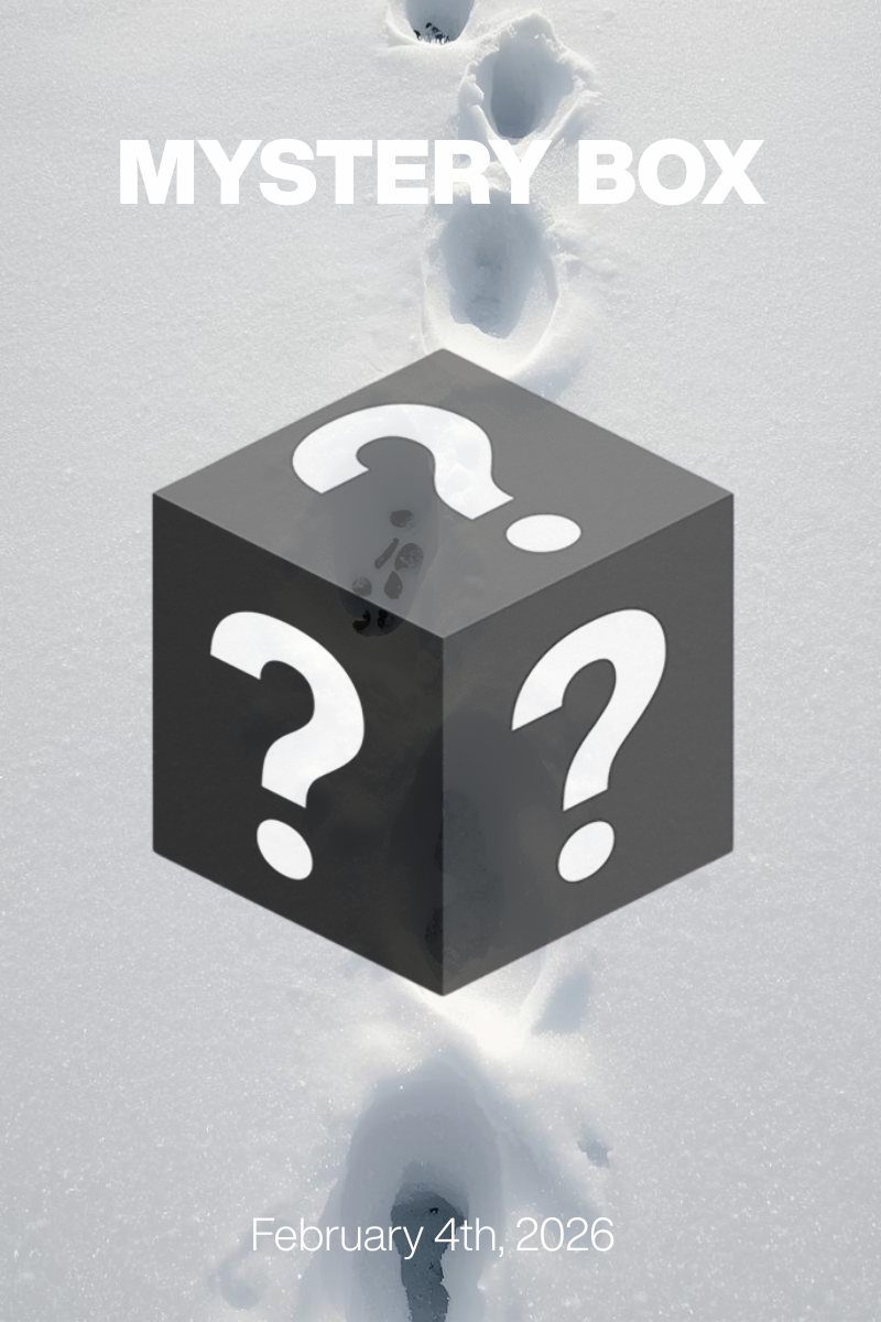 MYSTERY BOX February 4th, 2026: Ivory Defiance at $79/$99 + Designer Shoes $30