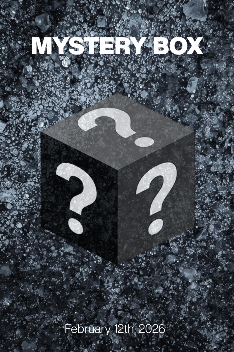 MYSTERY BOX Feb 12th, 2026: Pewter Rebellion at $79/$99 + Designer Shoes $30