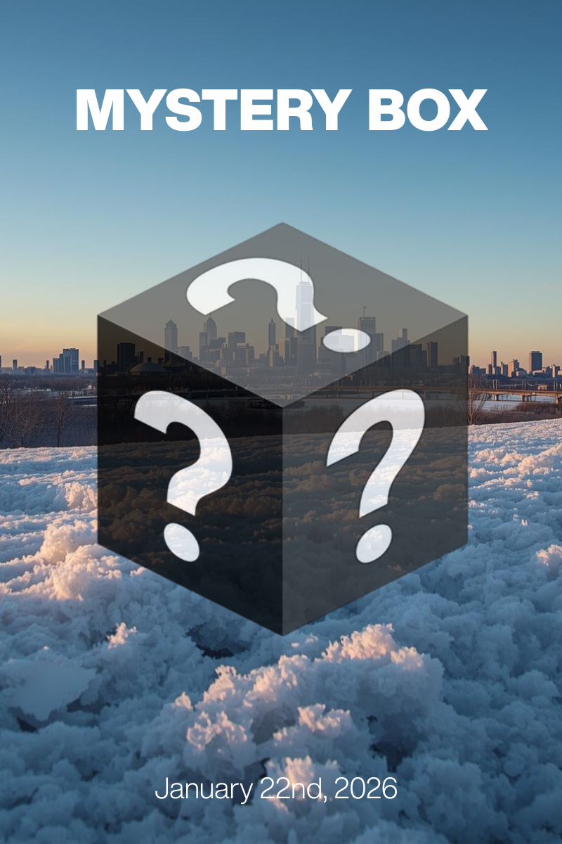 MYSTERY BOX Jan 22nd, 2026: Evening Frost at $79/$99 + Designer Shoes $30