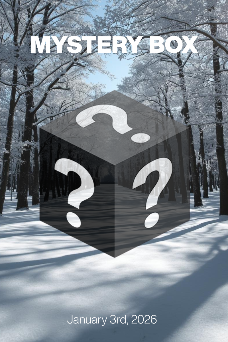 MYSTERY BOX January 3rd, 2026: Glacial Tailoring at $79/$99 + Designer Shoes $30