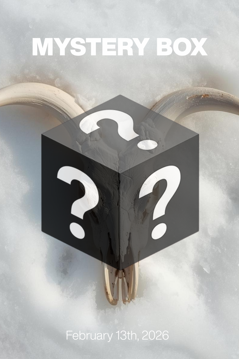 MYSTERY BOX Feb 13th, 2026: Bone Authority at $79/$99 + Designer Shoes $30
