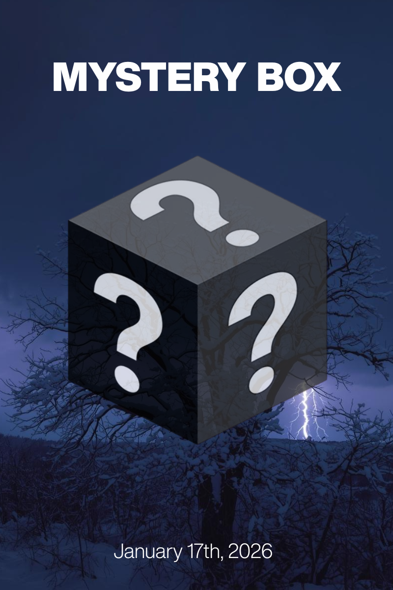 MYSTERY BOX Jan 17th, 2026: Storm Elegance at $79/$99 + Designer Shoes $30