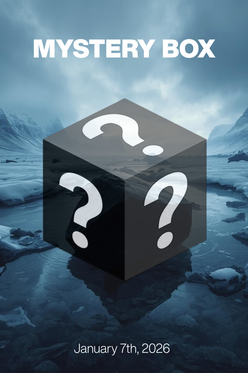 MYSTERY BOX Jan 7th, 2026: Obsidian Silhouette at $79/$99 + Designer Shoes $30