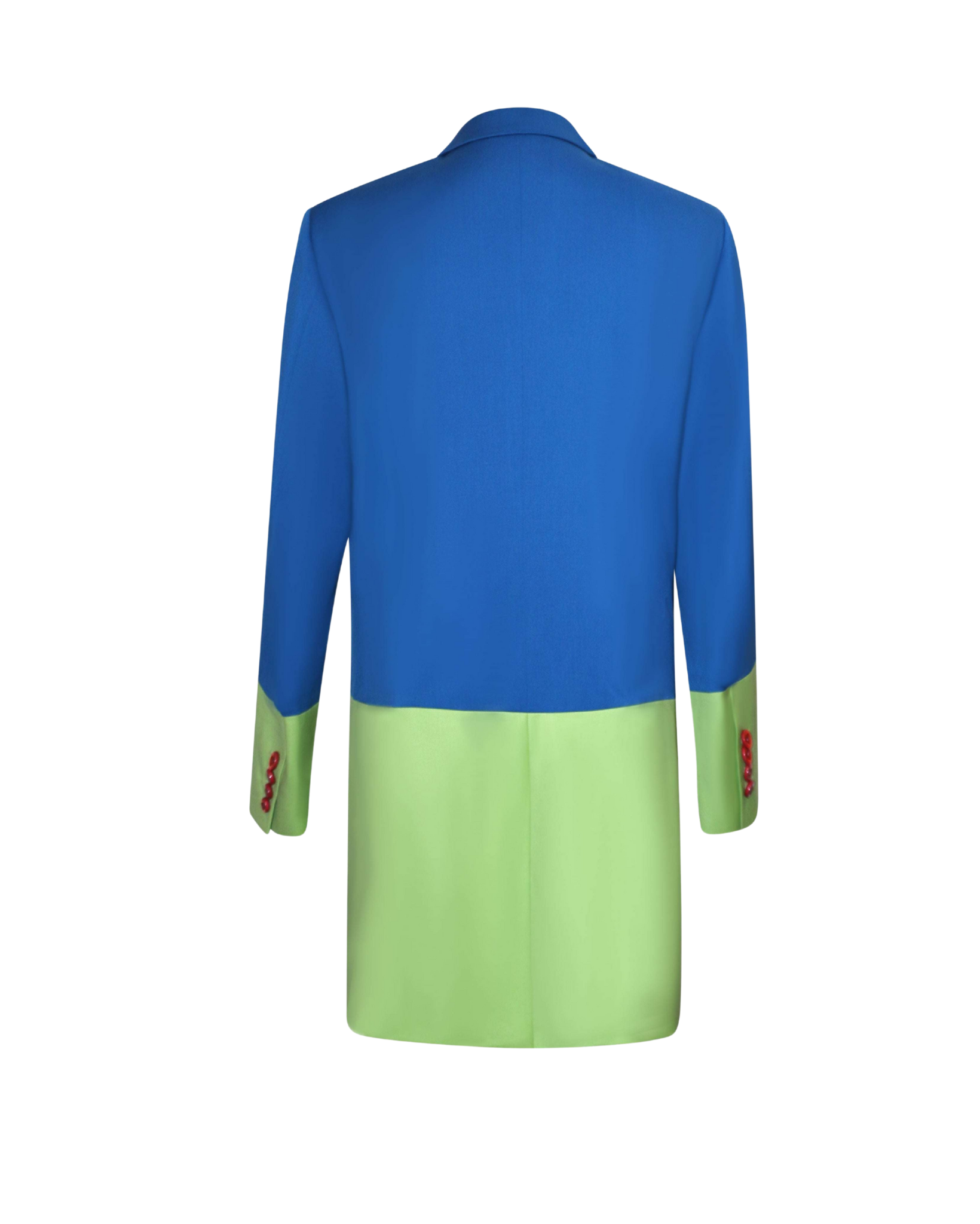 Two-Tone Wool Color Block Blazer shown from the back with a vibrant cobalt blue upper section and soft pastel green lower panel, featuring sleek tailored lines for a modern androgynous suiting look.