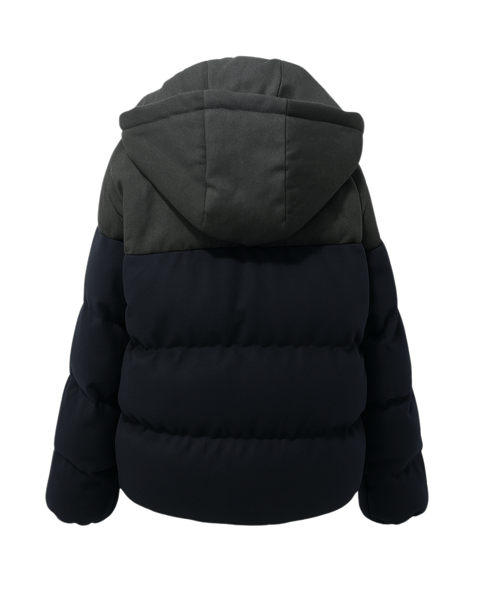 Tailory black cropped padded puffer jacket back view