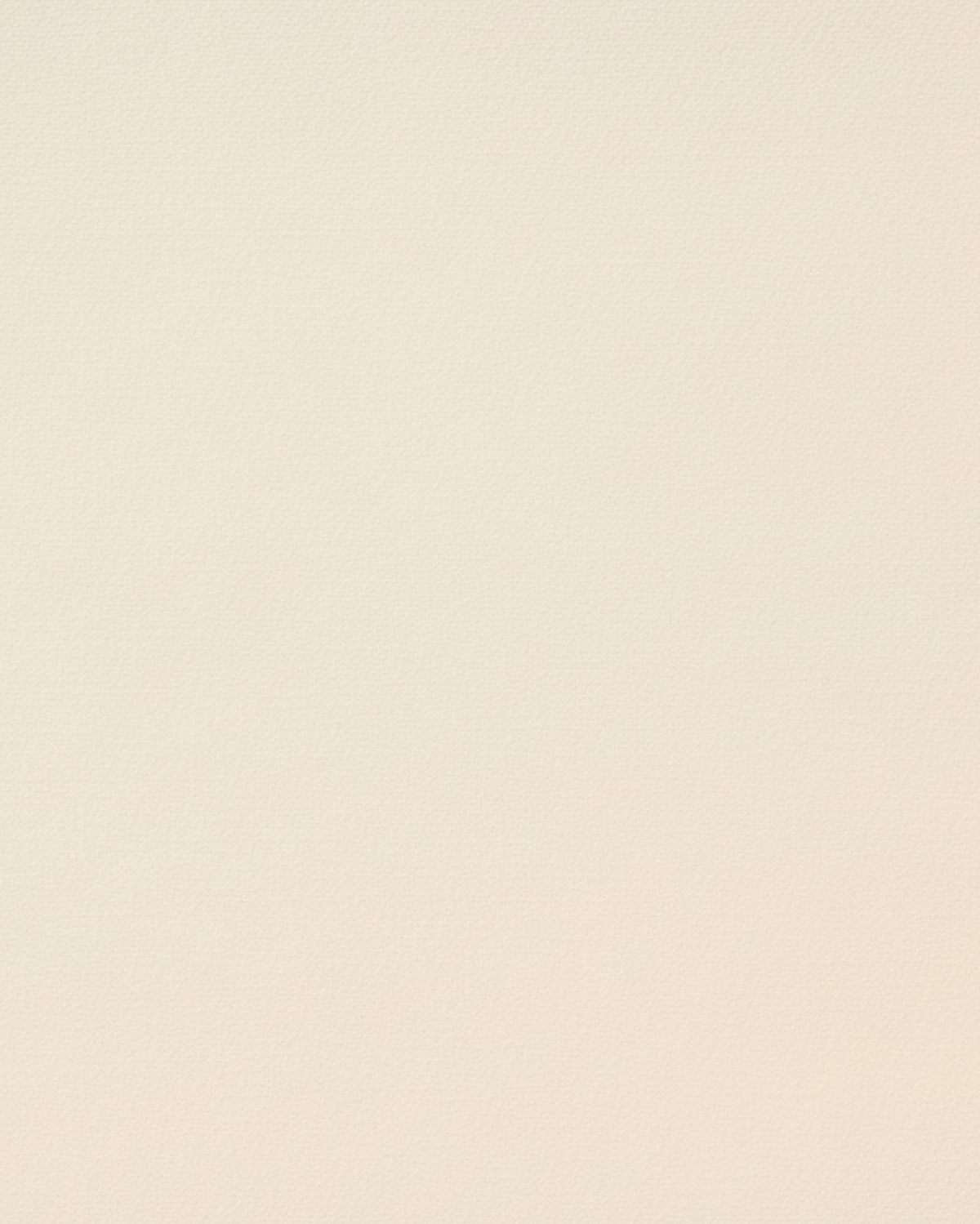 Tailory ivory blazer shawl lapel detail