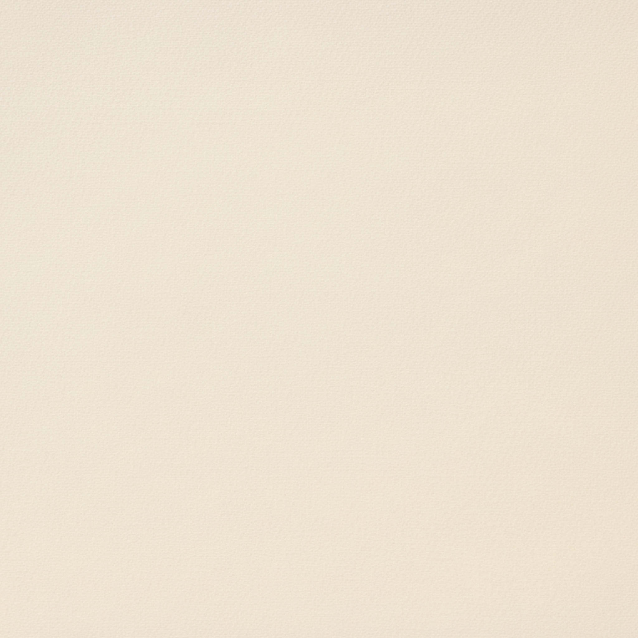 Tailory ivory blazer shawl lapel detail