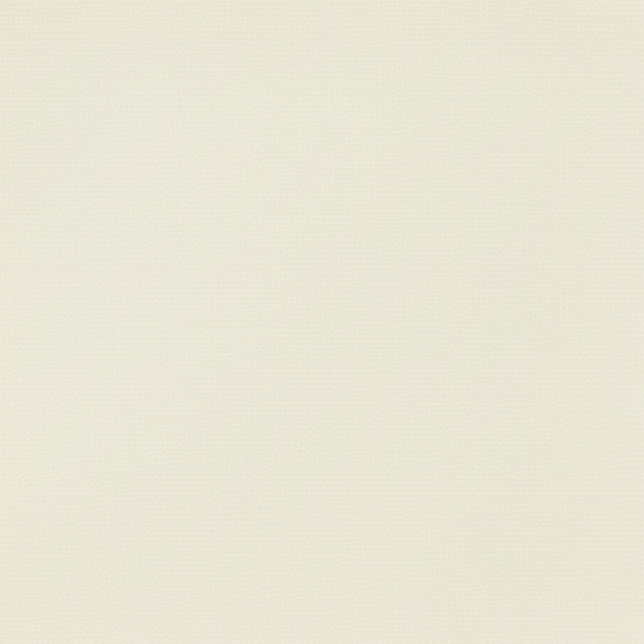 Tailory ivory Loro Piana wool suiting fabric swatch