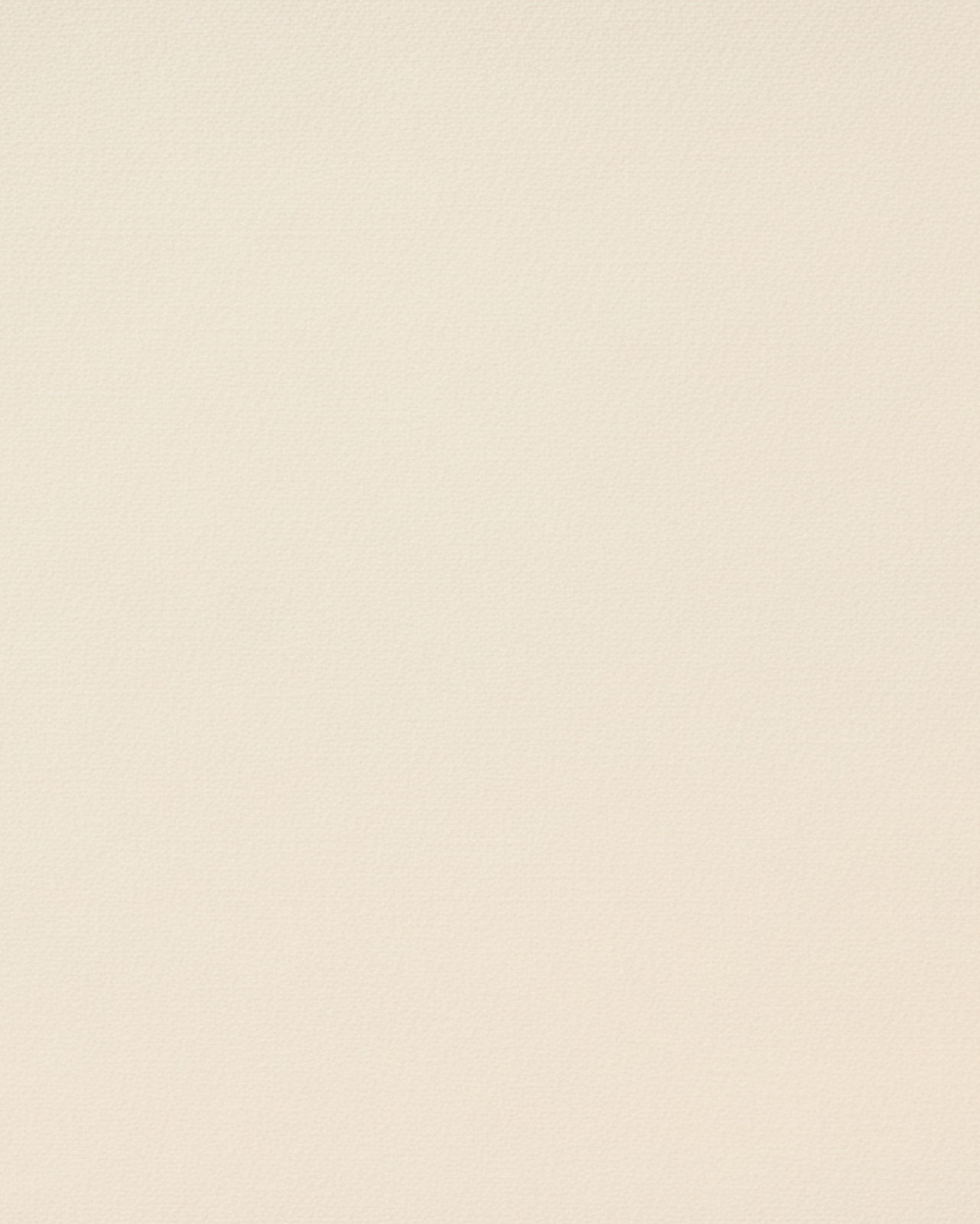 Tailory ivory blazer shawl lapel detail