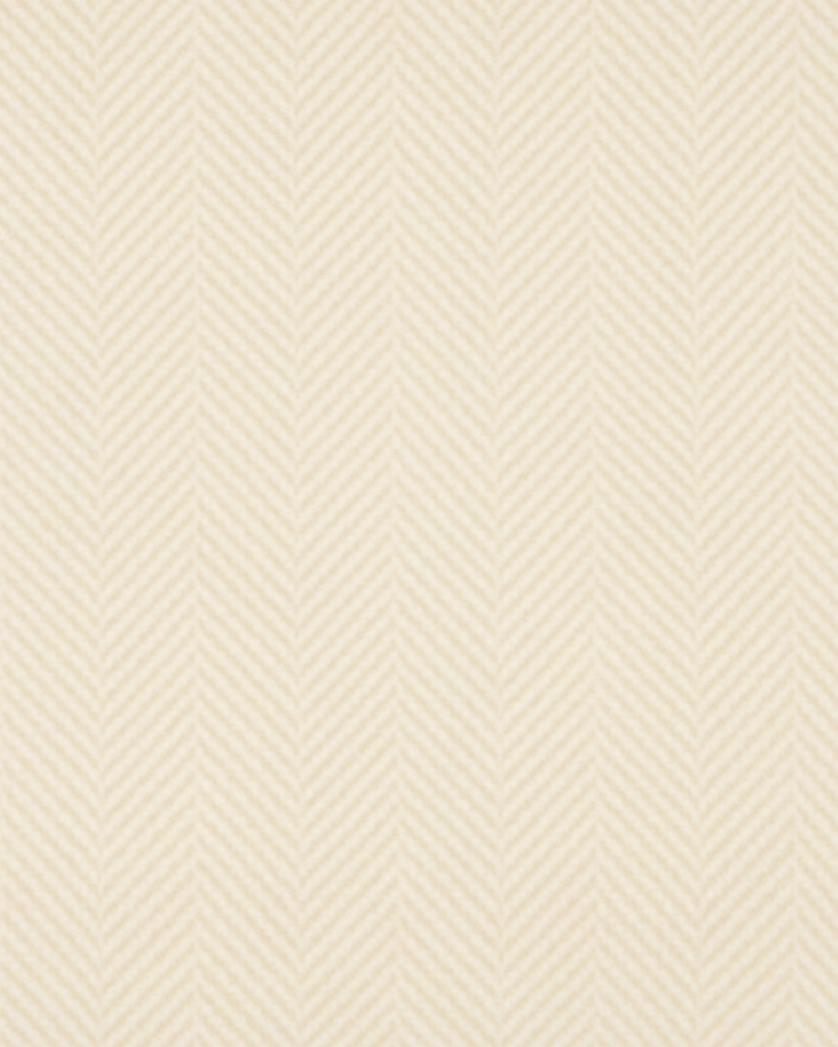 Tailory ivory Loro Piana baby cashmere fabric swatch