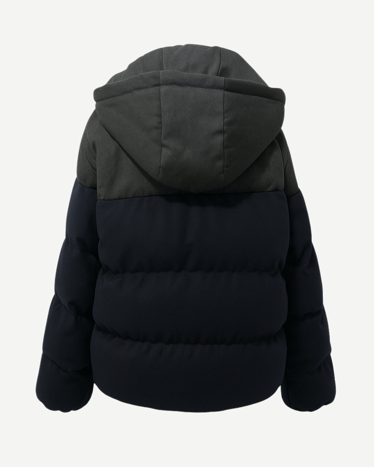 Tailory black cropped padded puffer jacket back view