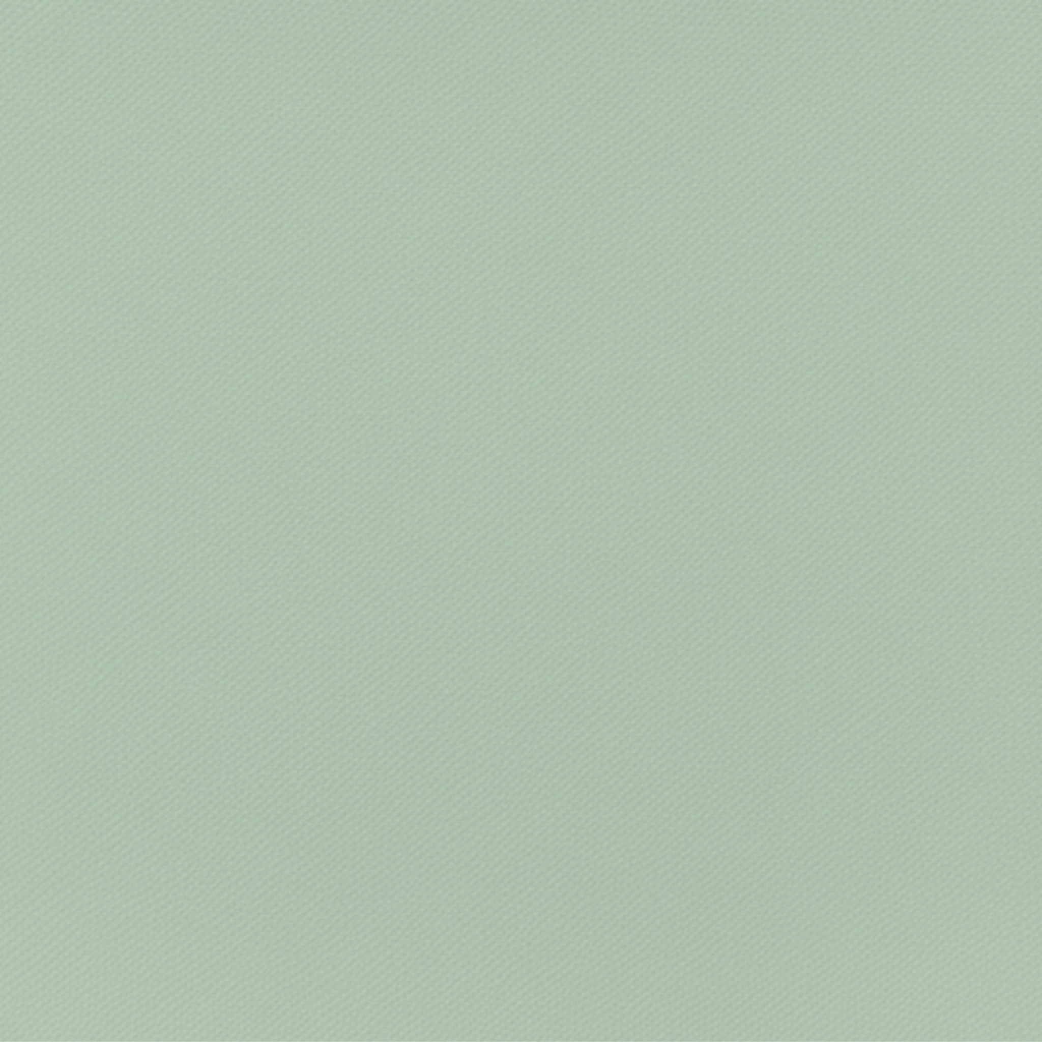 Tailory sage cotton poplin tailored shirting fabric swatch