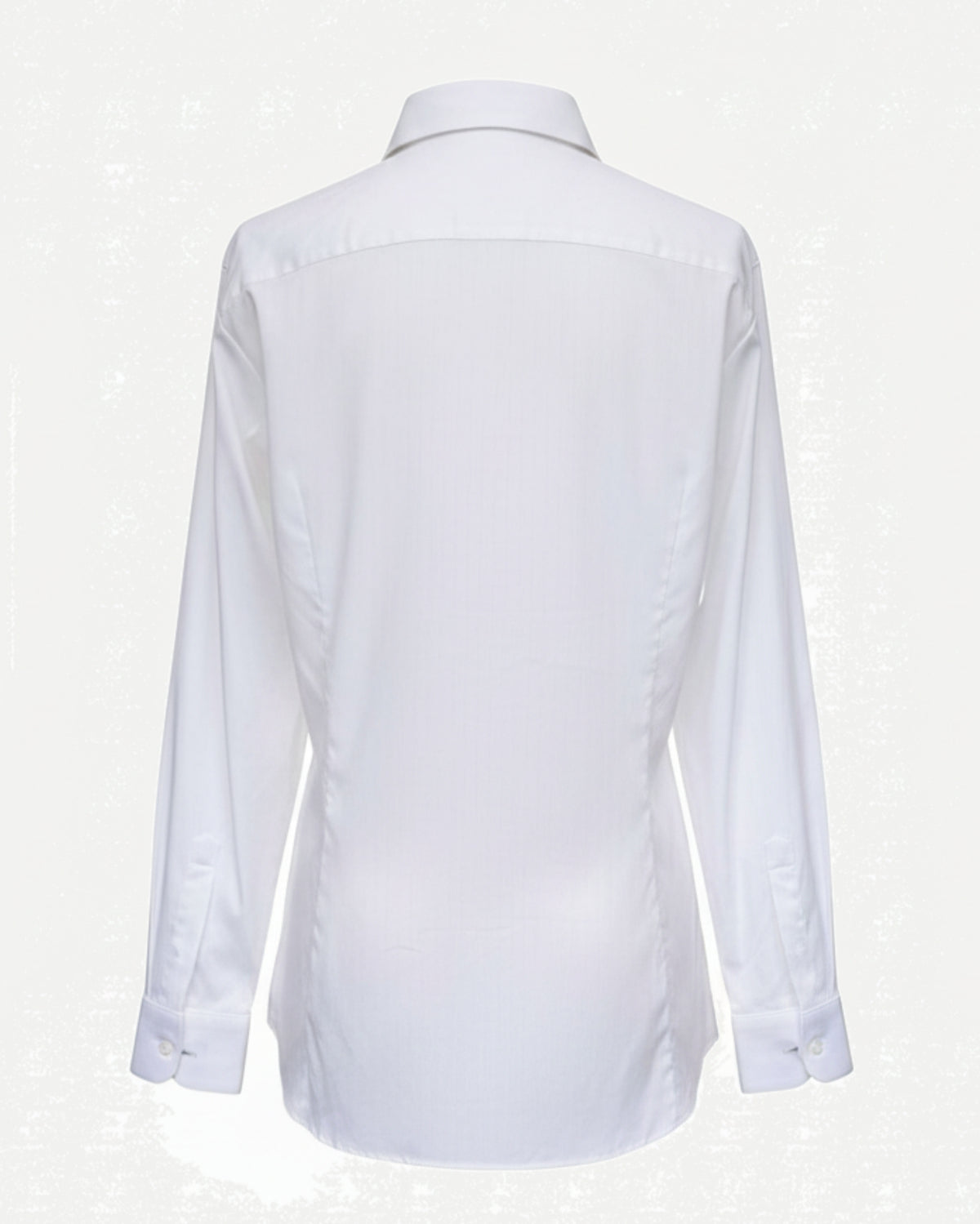 Tailory white hidden-placket shirt back view
